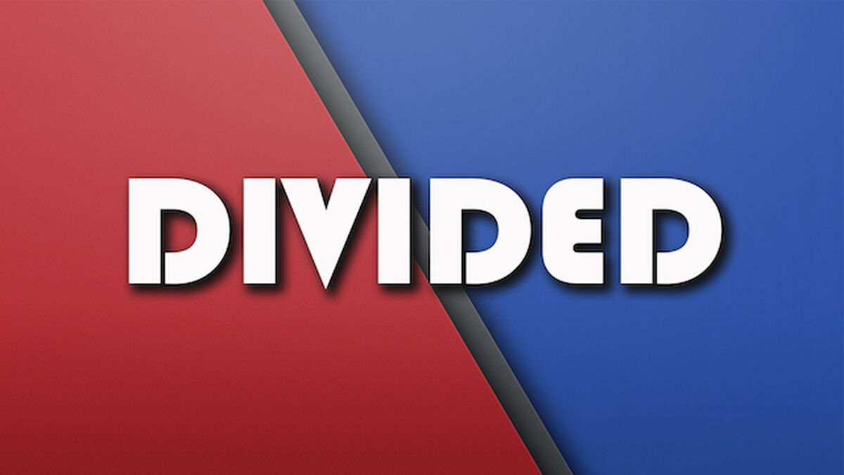 Divided image number null